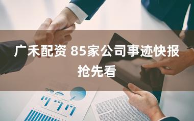 广禾配资 85家公司事迹快报抢先看
