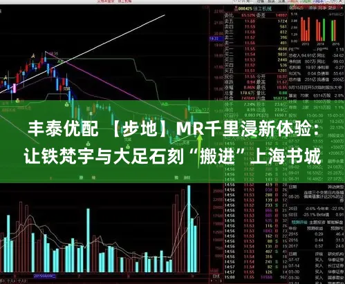 丰泰优配 【步地】MR千里浸新体验：让铁梵宇与大足石刻“搬进”上海书城