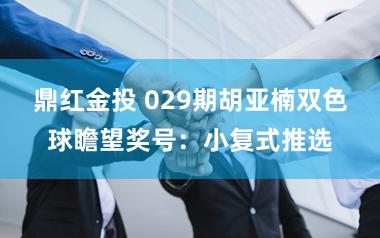 鼎红金投 029期胡亚楠双色球瞻望奖号：小复式推选