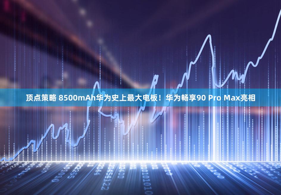顶点策略 8500mAh华为史上最大电板！华为畅享90 Pro Max亮相