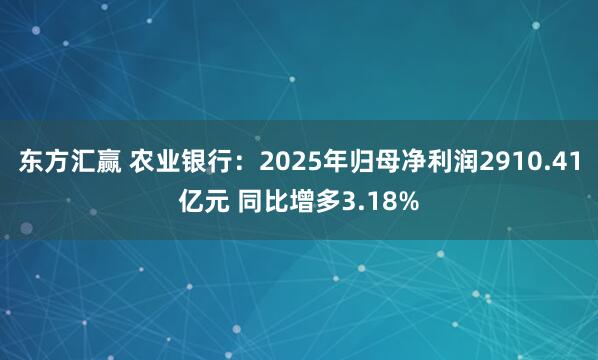 东方汇赢 农业银行：2025年归母净利润2910.41亿元 同比增多3.18%