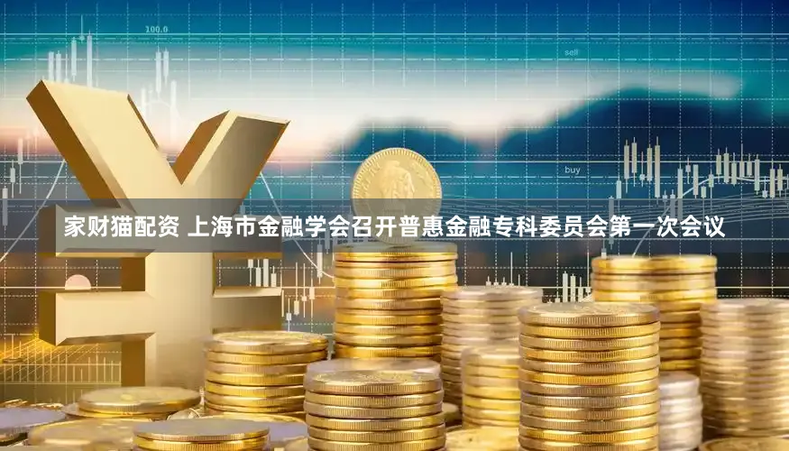 家财猫配资 上海市金融学会召开普惠金融专科委员会第一次会议
