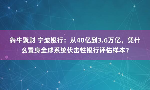 犇牛聚财 宁波银行：从40亿到3.6万亿，凭什么置身全球系统伏击性银行评估样本？