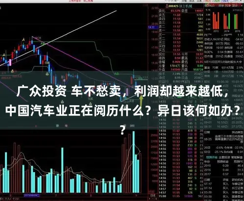 广众投资 车不愁卖,利润却越来越低,中国汽车业正在阅历什么?异日该何如办?